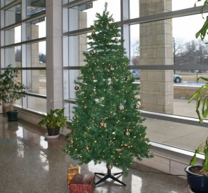 Student Council Puts up Mustang Tree