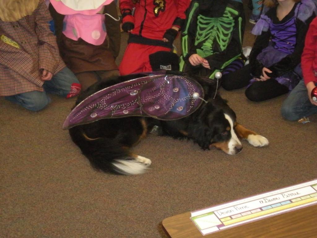 Students gather around Joy, the therapy dog, who is dressed up in her Halloween costume last year. 
