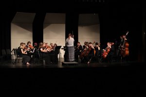 The high school orchestra performs Oct. 18 in the district auditorium. Photo by Lexi Flockhart.