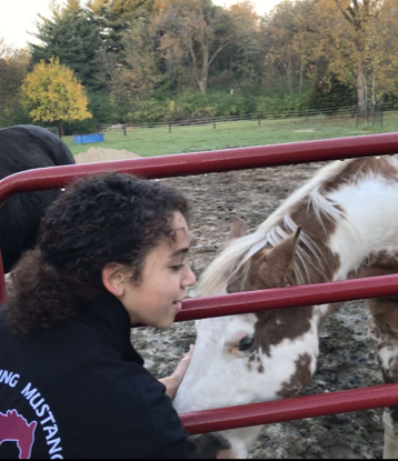 Students and their pets: Alanah and her horses