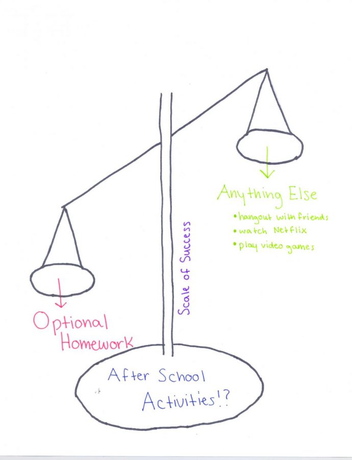 Optional+Homework+is+a+Bad+Idea