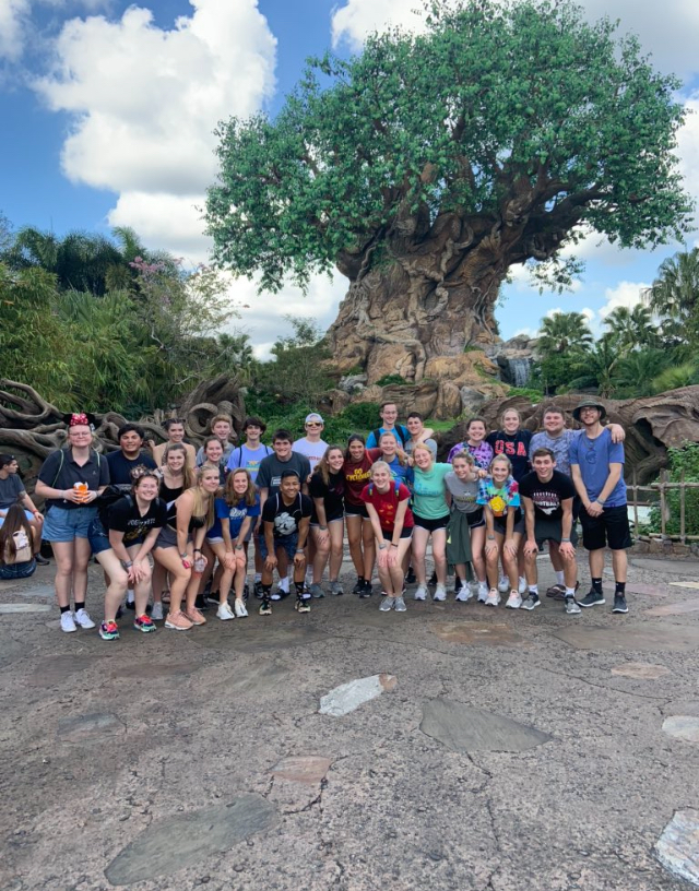 Students pose in front of the Tree of Life in Animal Kingdom.