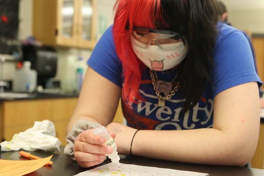 Testing for a reaction, junior Julia Dietsch drops one liquid substance onto another in College Prep Chemistry Feb. 3. The chemistry class did a lab to see if a reaction occurred between different substances.