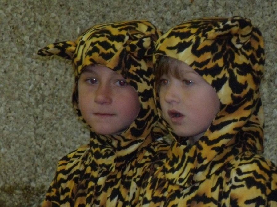 Aden Grudzinski and Camryn Streicher dressed as tigers for the kindergarten circus.