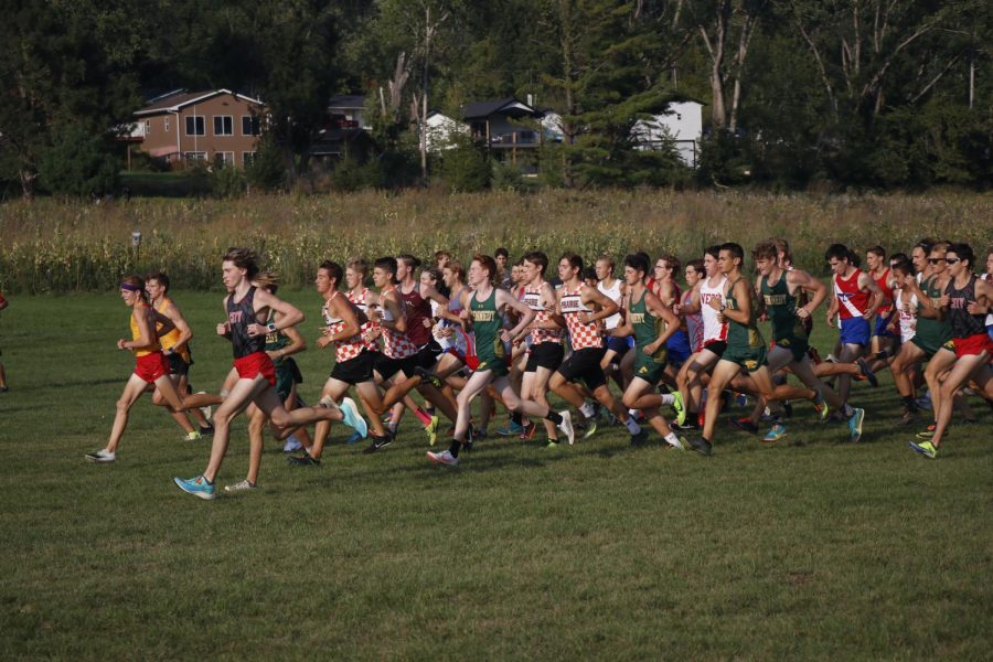 Best of Cross Country Courses
