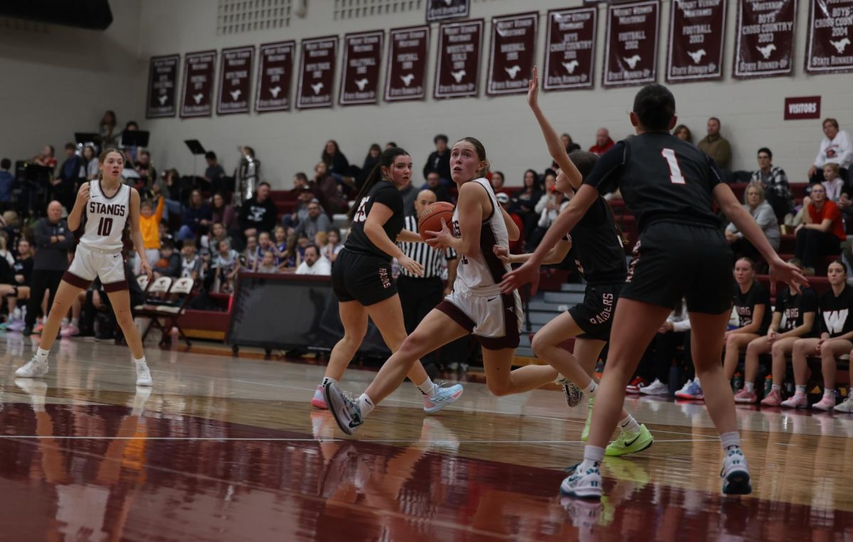 Junior Courtney Franck (22) runs the basketball into the paint Dec. 13. 