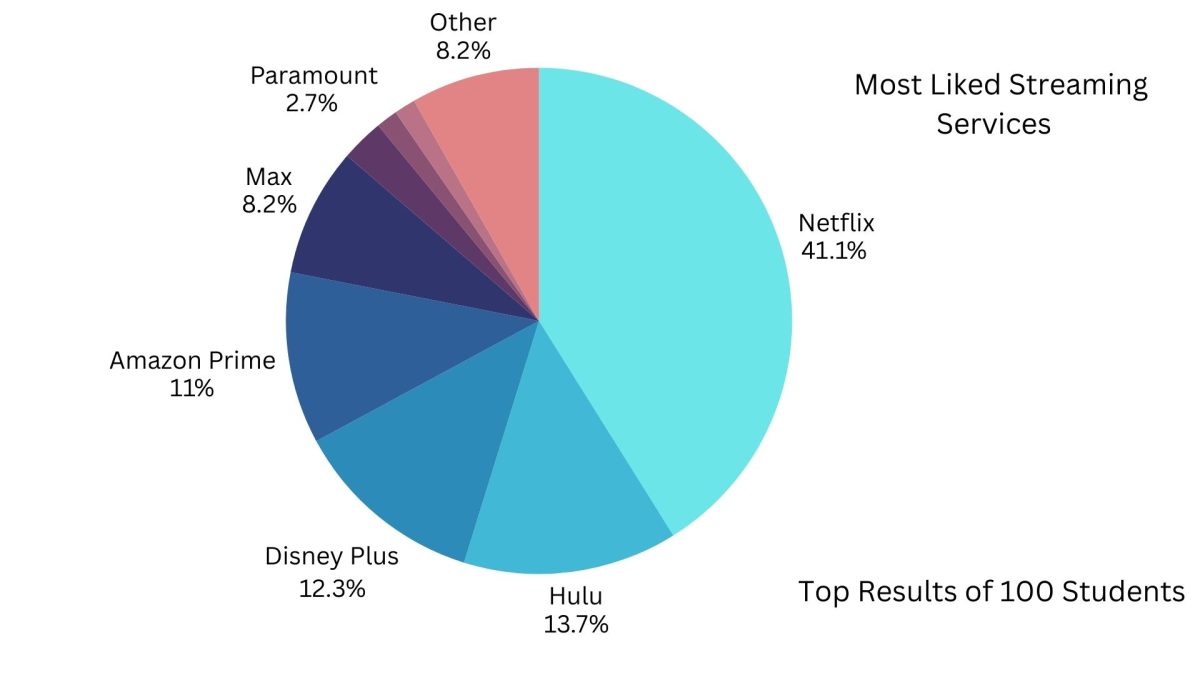 Top 5 Streaming Services at MVHS