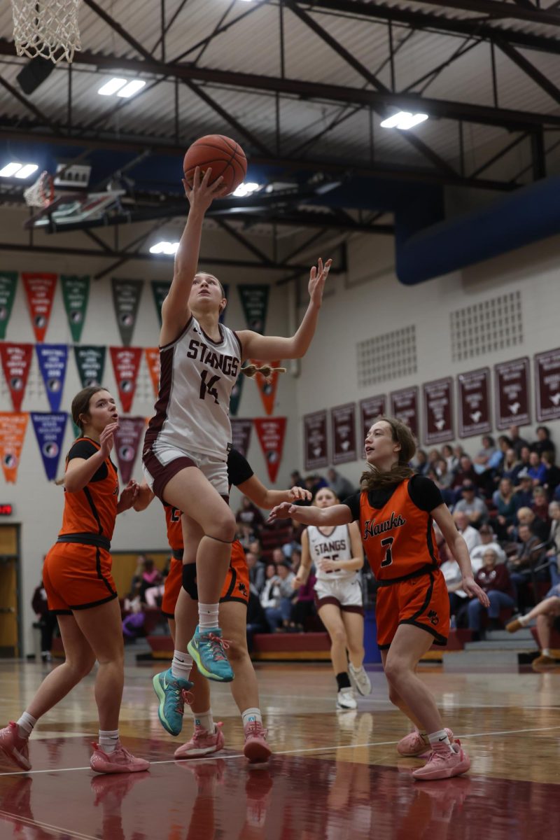 Junior Lucy Wischmeyer (14) makes a layup Jan. 28. 