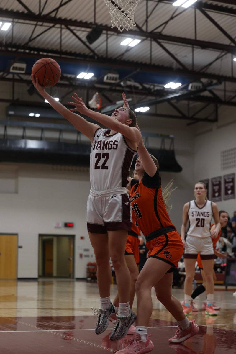 Junior Courtney Franck (22) reaches to put the basketball in the net Jan. 28. 