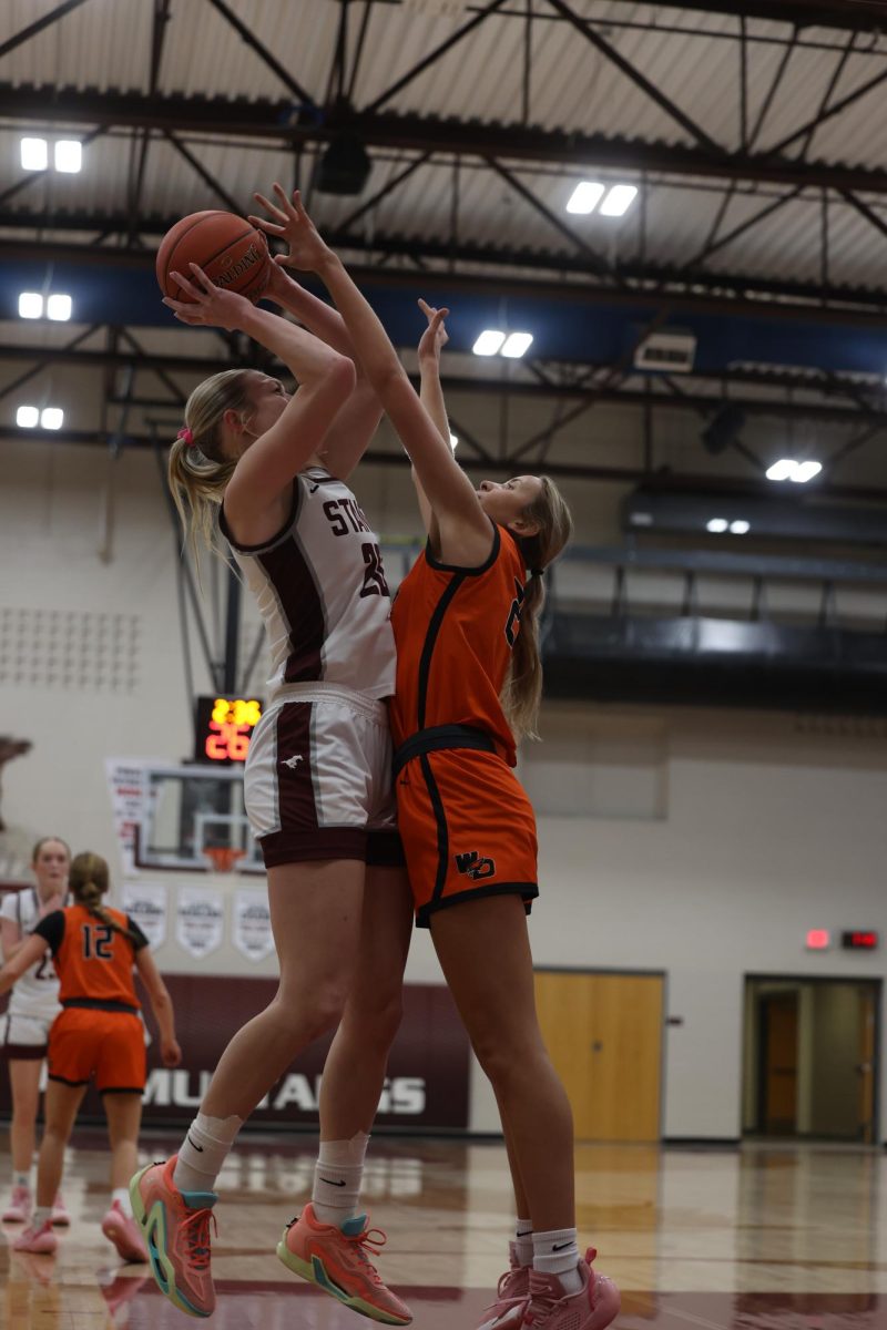 Senior Chloe Meester (20) jumps above her Hawk opponent to shoot the basketball Jan. 28.