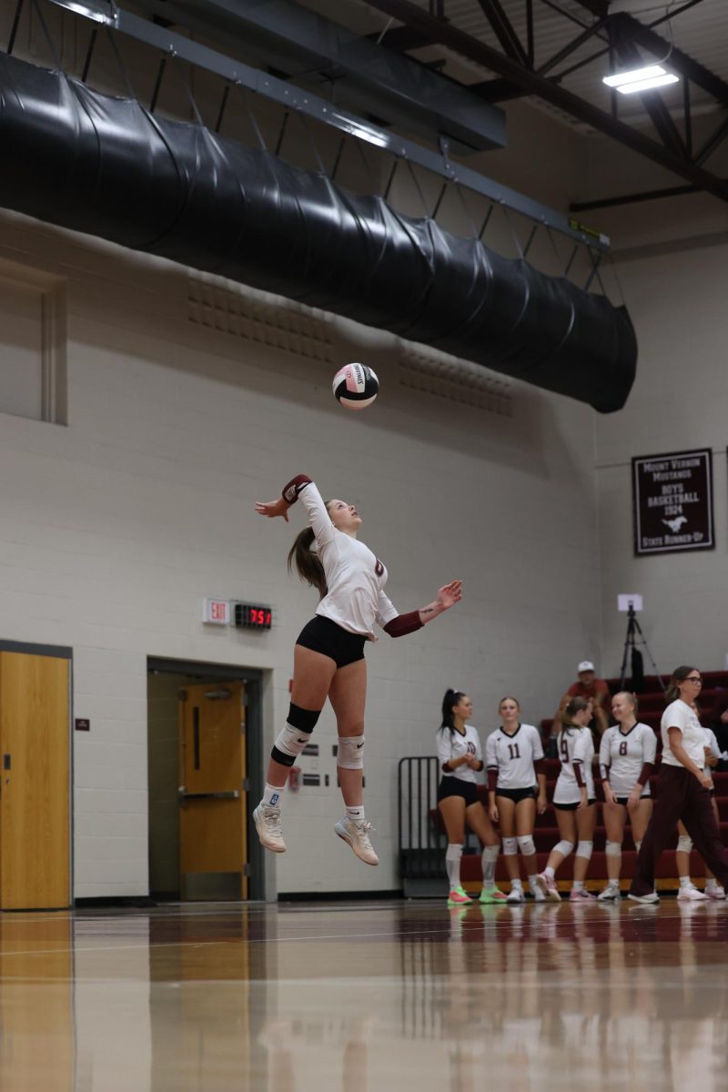 Sophomore Lexi Boren #6 jumps up to serve the ball. 