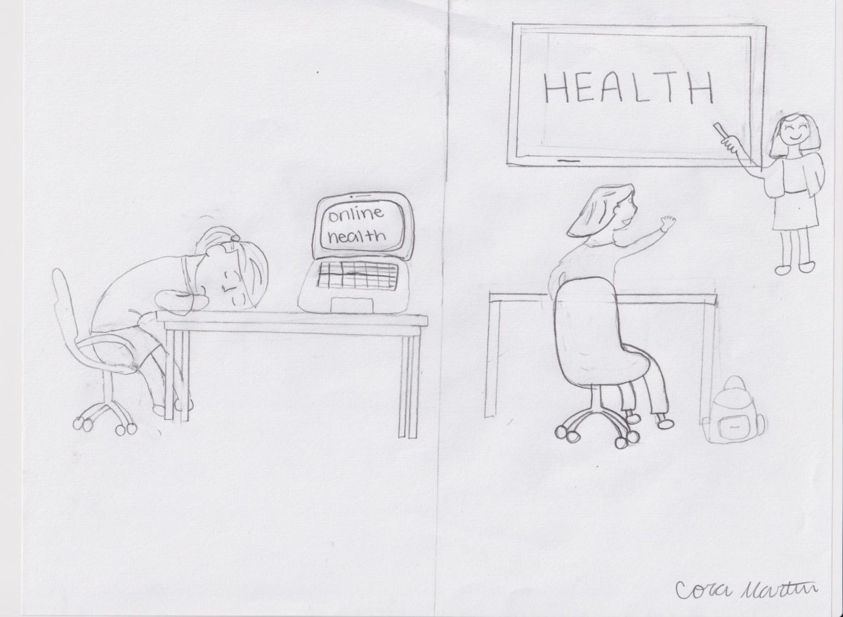 MVHS needs to get rid of Online Health