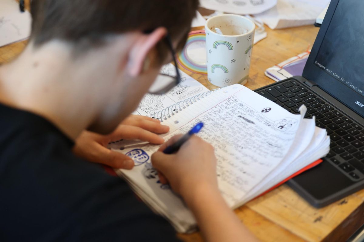 Sophomore Isaiah Hanson is working on his sketching skills in the art room on Jan. 8. 