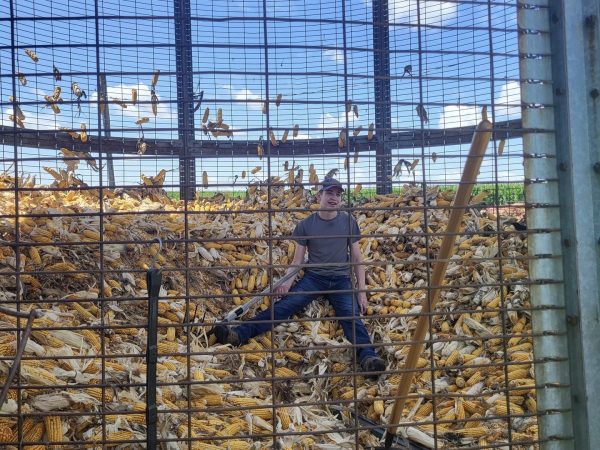 Jackson Koehn shelling corn from the round crib. 